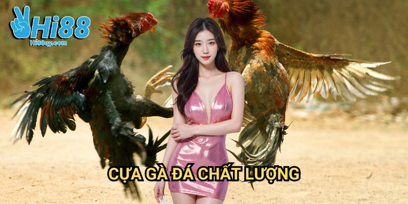 Cựa gà đá chất lượng Hi88: Bí Quyết Lựa Chọn Vũ Khí Chiến Thắng 6 Cựa gà đá chất lượng Hi88: Bí Quyết Lựa Chọn Vũ Khí Chiến Thắng
