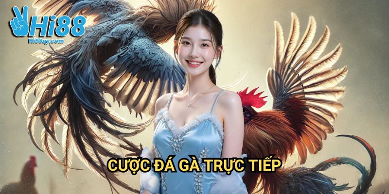 Cược đá gà trực tiếp Hi88: Trải Nghiệm Đỉnh Cao Cá Cược Live 9 Cược đá gà trực tiếp Hi88: Trải Nghiệm Đỉnh Cao Cá Cược Live