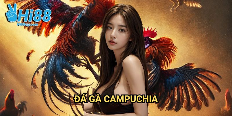 Đá gà Campuchia Hi88: Đấu Trường Gà Huyền Thoại Đông Nam Á 4 Đá gà Campuchia Hi88: Đấu Trường Gà Huyền Thoại Đông Nam Á