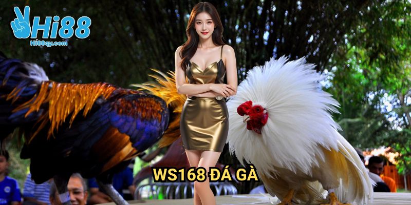 Ws168 Đá Gà Hi88: Khám Phá Sân Chơi Gà Đá Đỉnh Cao 2 Ws168 Đá Gà Hi88: Khám Phá Sân Chơi Gà Đá Đỉnh Cao